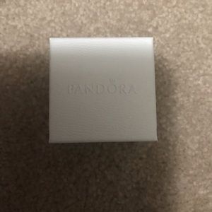 Pandora charm box